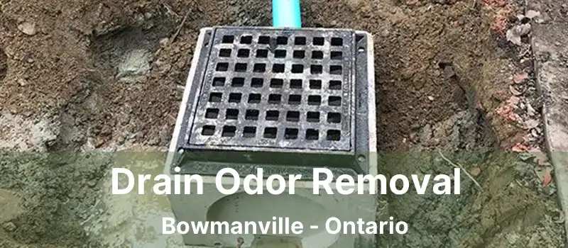  Drain Odor Removal Bowmanville - Ontario